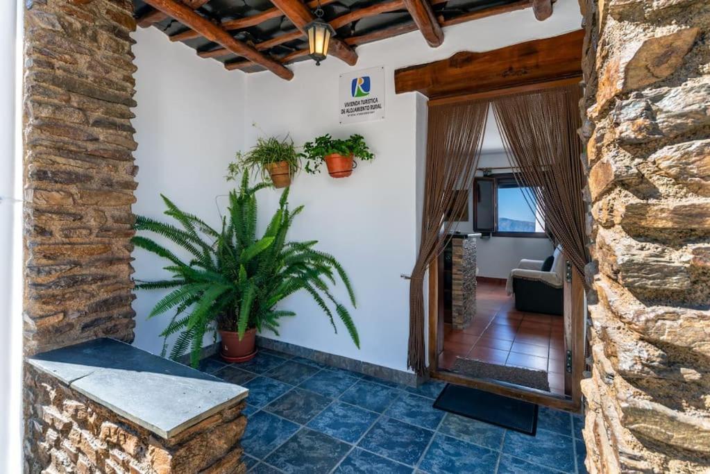 Casa Jose Capileira - Alpujarra Lejlighed Eksteriør billede